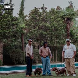 Sem Sentimento album cover